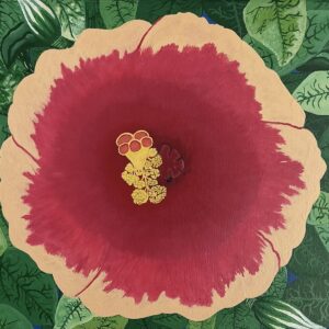 Mexican Hibiscus