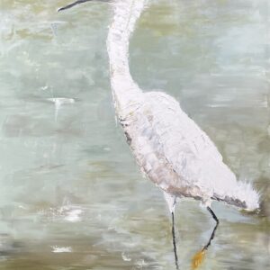 Snowy Egret