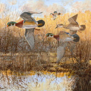 Woodies To Roost