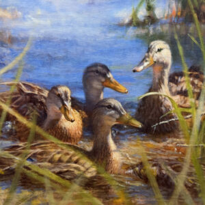 Puddle Ducks