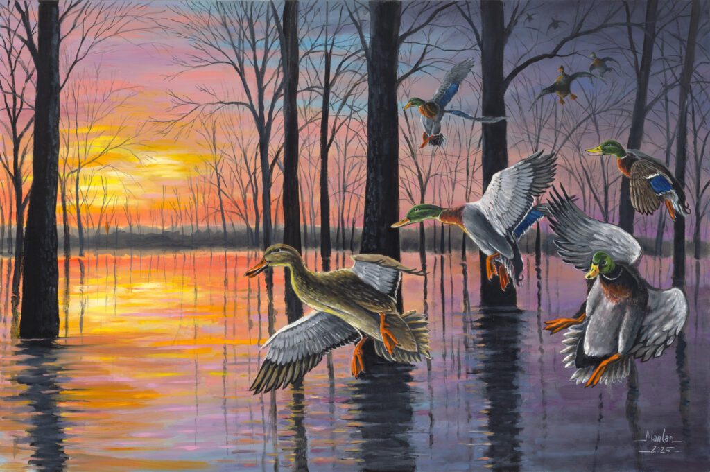Evening Flight