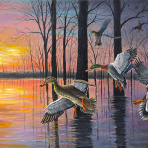 Evening Flight