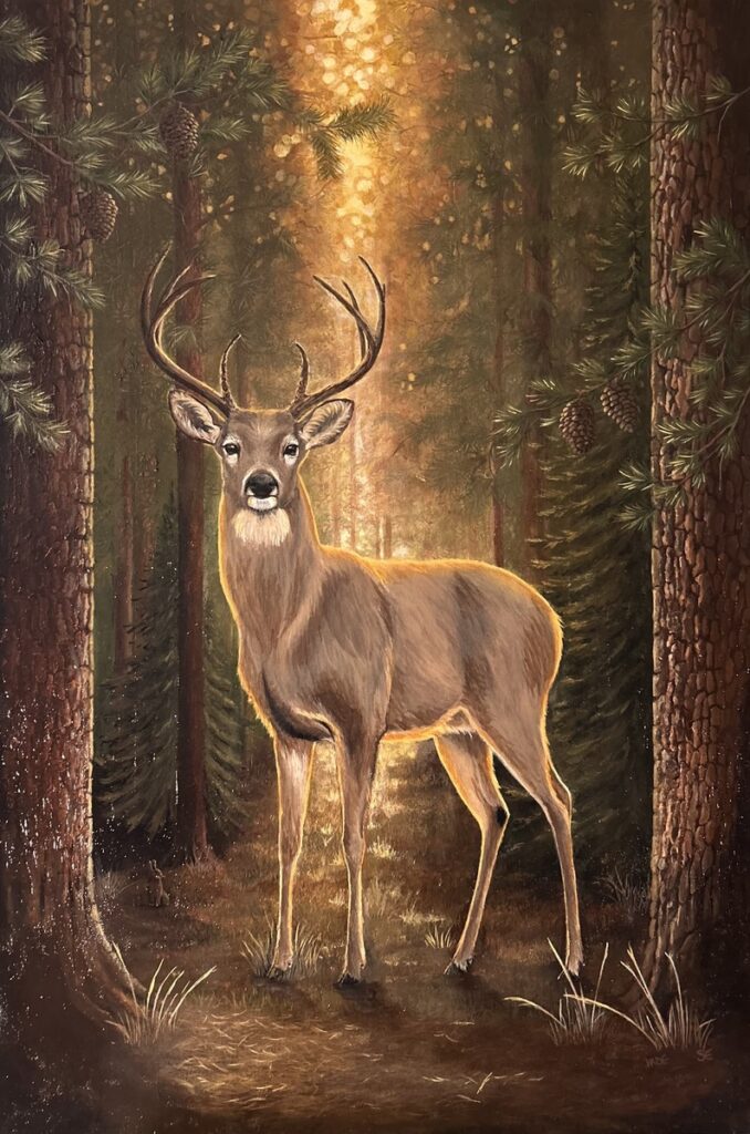 Light in the Wilderness