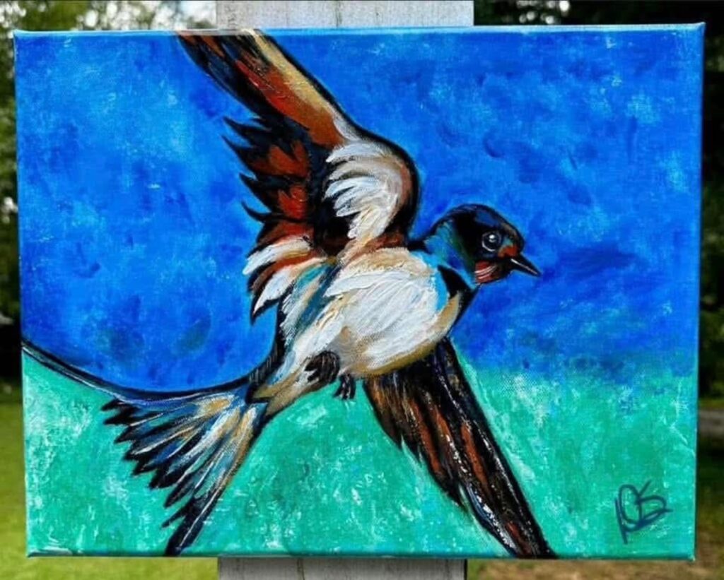 Barn Swallow Soaring