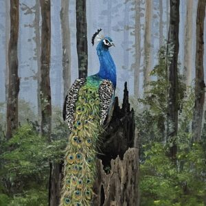 Perching Peacock