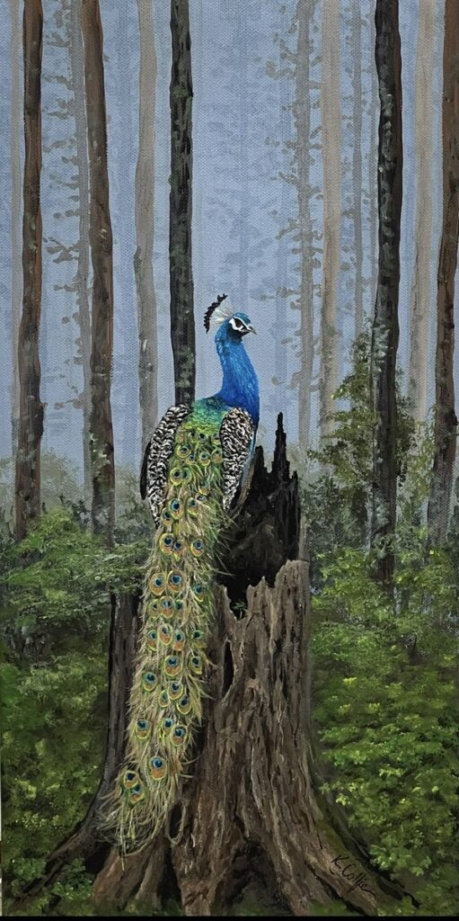 Perching Peacock