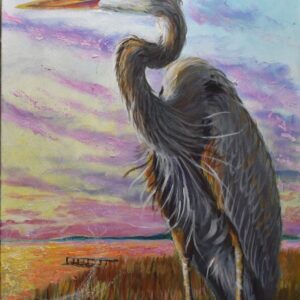 Great Blue Heron