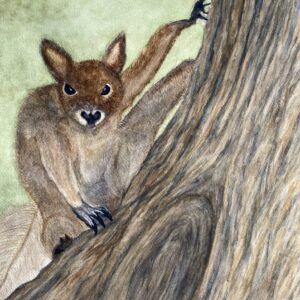 Gold Star Squirrel