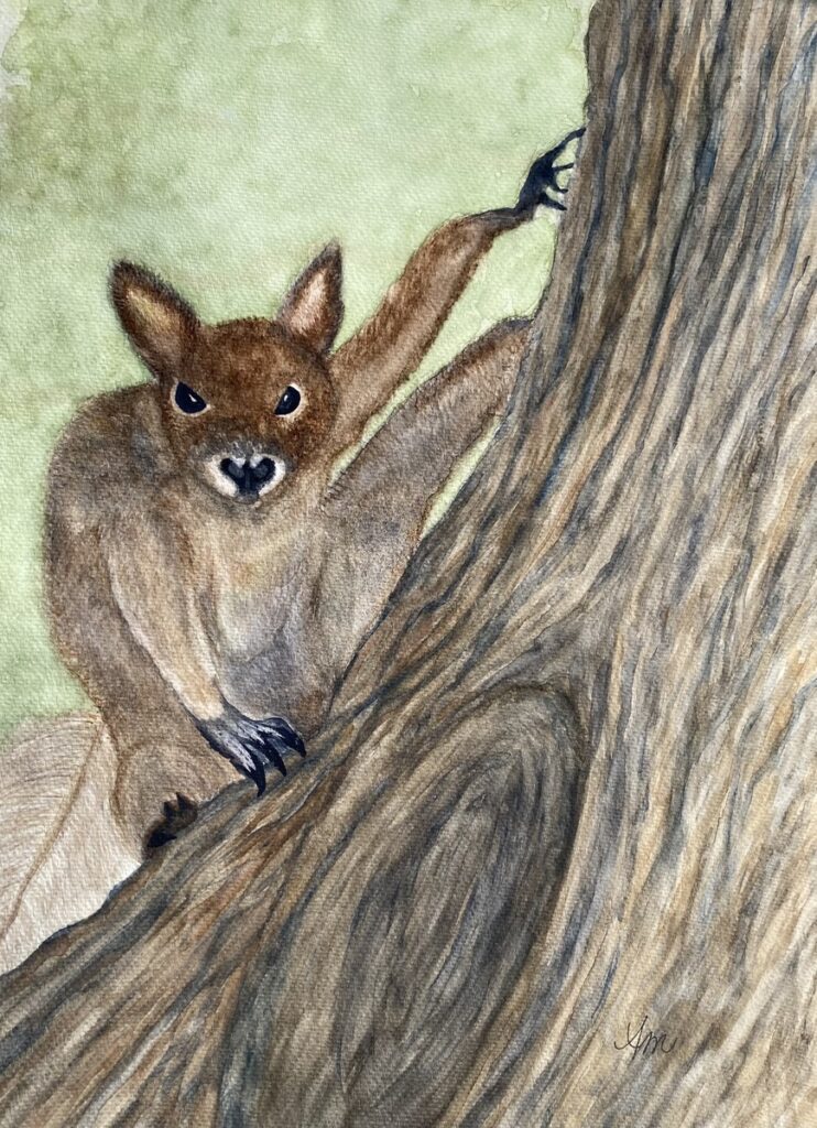 Gold Star Squirrel