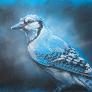 The Blue Jay