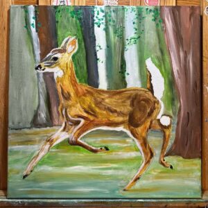 White Tail Fawn