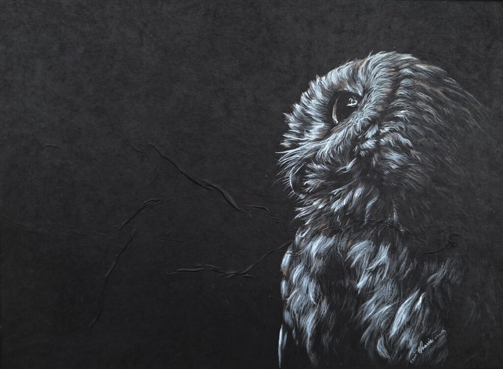 Observant Owl
