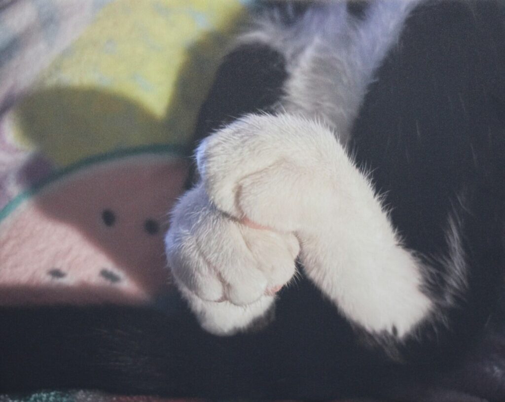Two White Socks