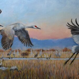 Two Sandhill Cranes and Whooping Crane