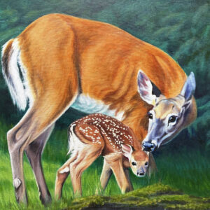 Doe Boy
