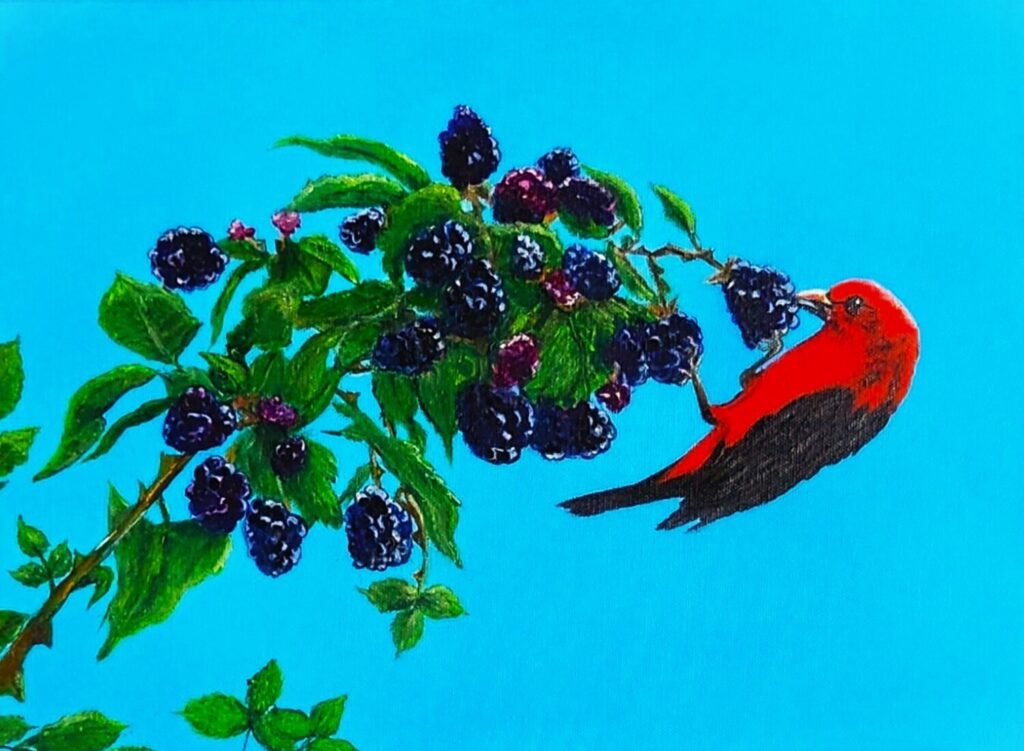 Wild Abundance
