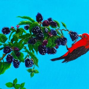 Wild Abundance