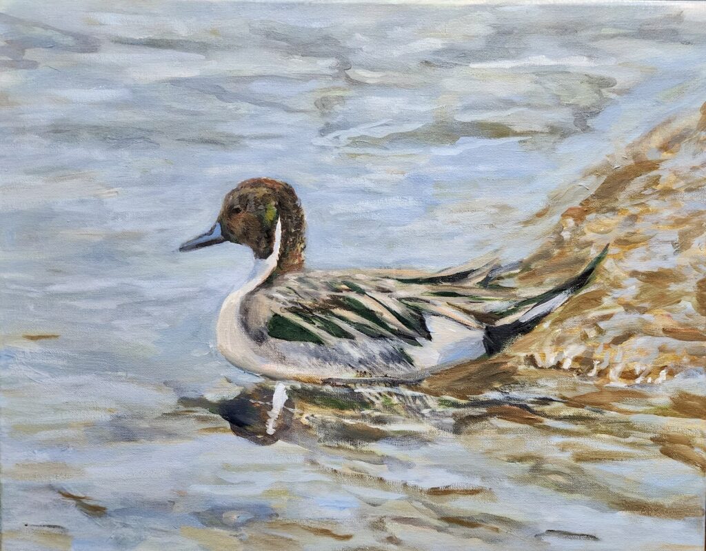The Marsh Gentleman