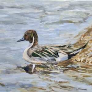 The Marsh Gentleman
