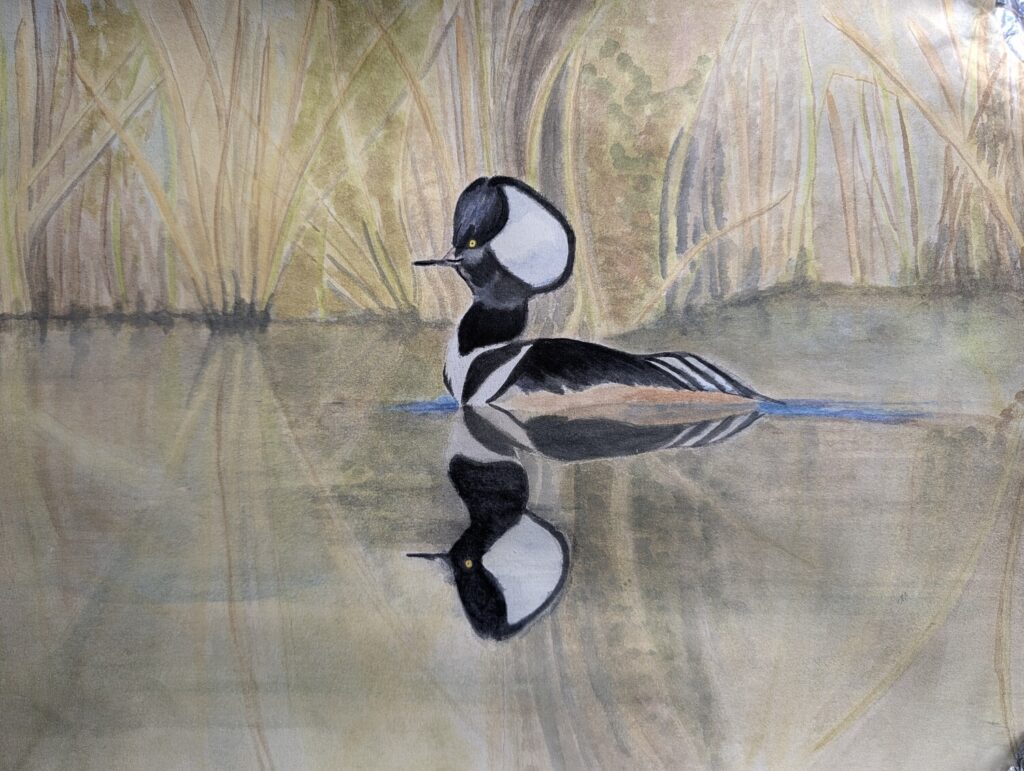 Quiet Reflection