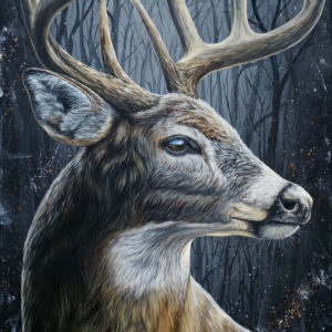 King of the Timbers