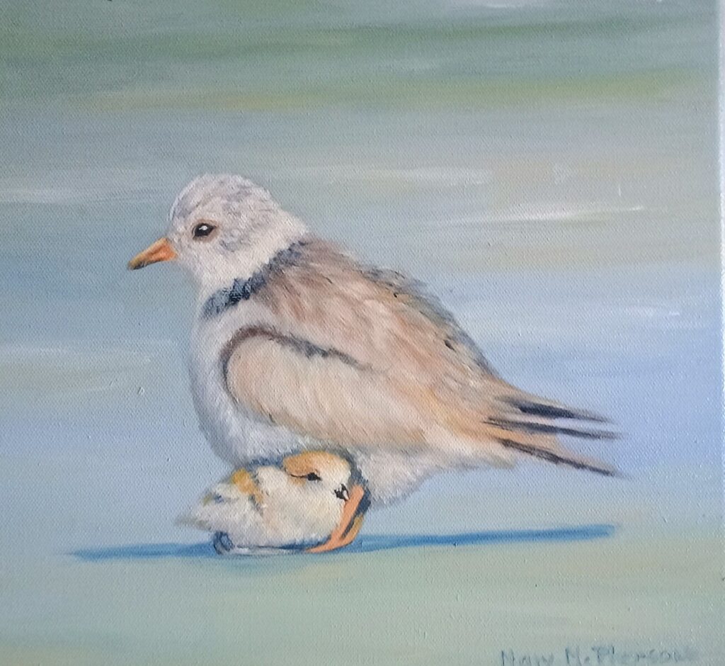 The Sandlings