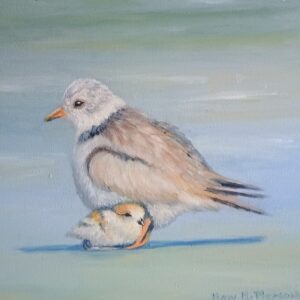 The Sandlings