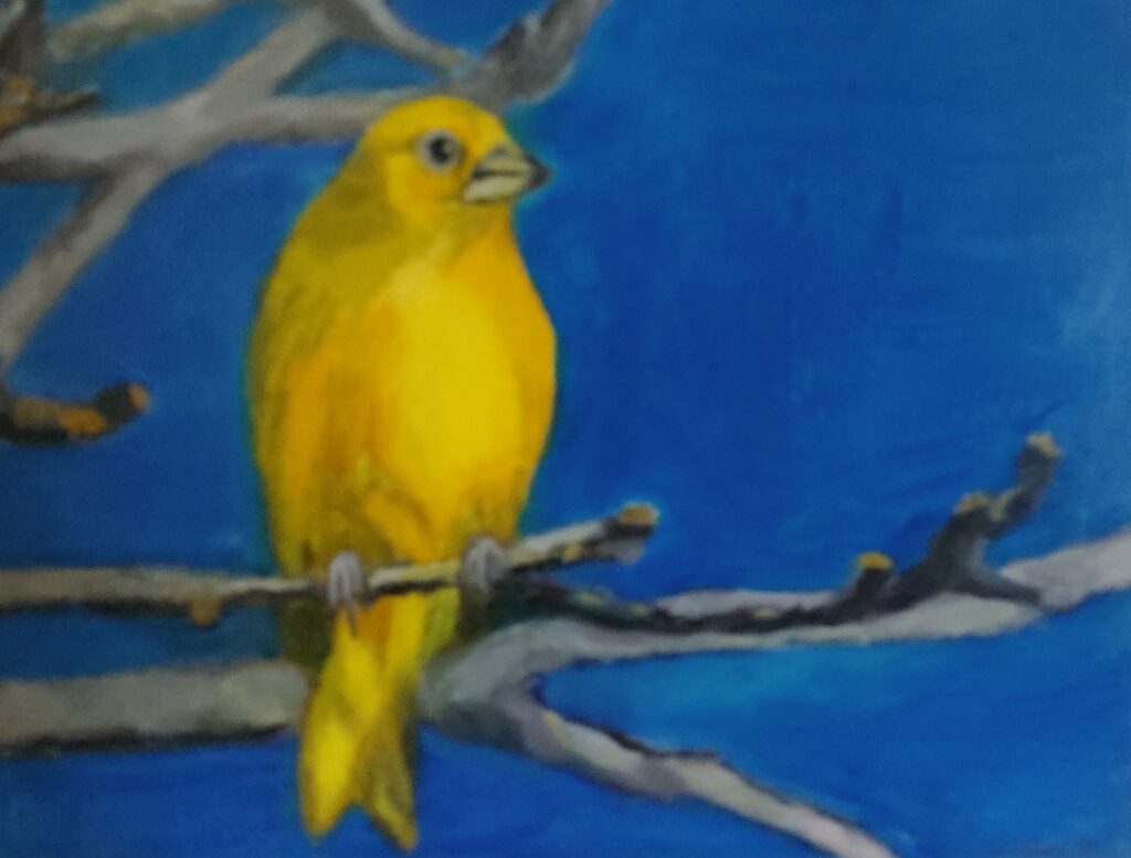 Lonely Bird