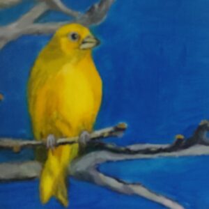 Lonely Bird