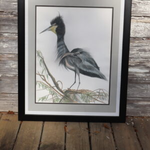 Baby Heron