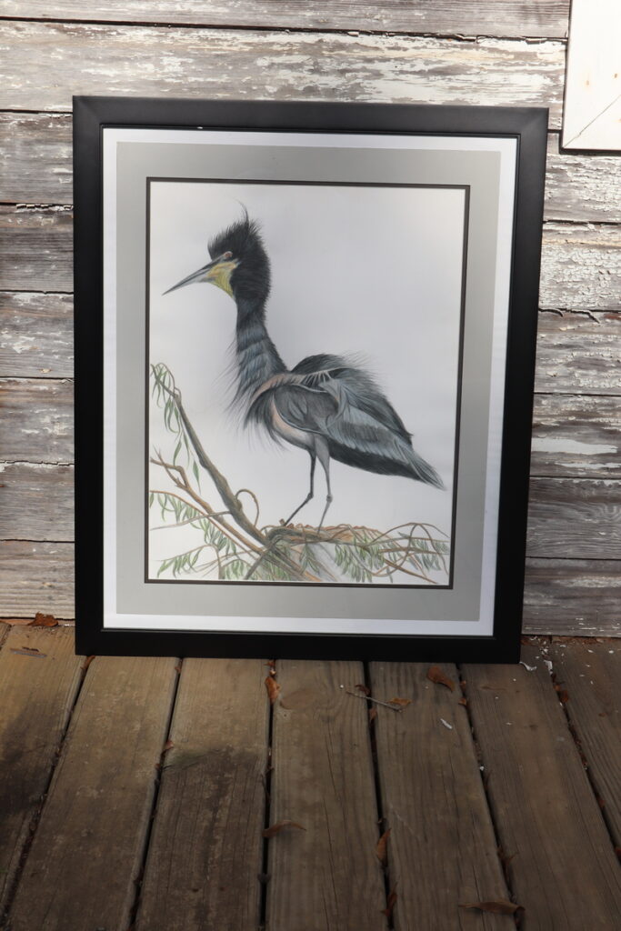 Baby Heron