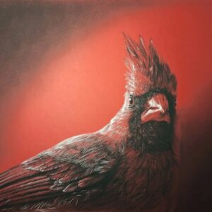 The Cardinal