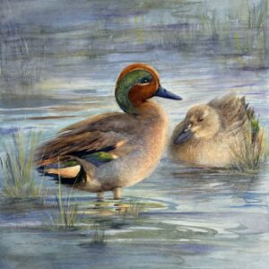 Marsh Jewels