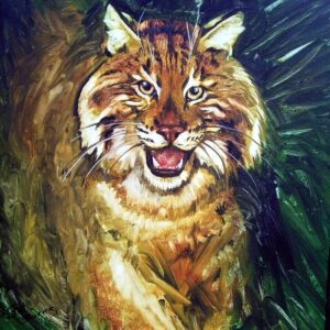 Bobcat