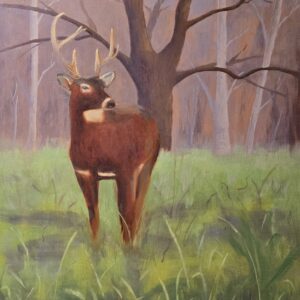 Quiet Visitor