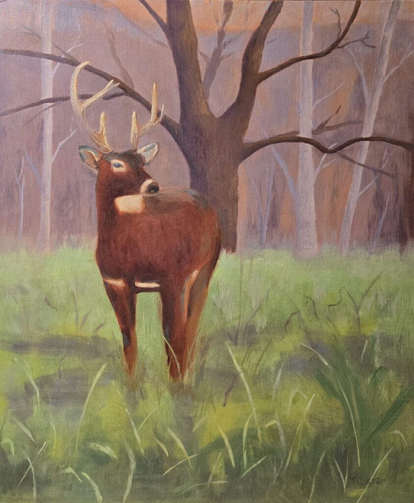 Quiet Visitor