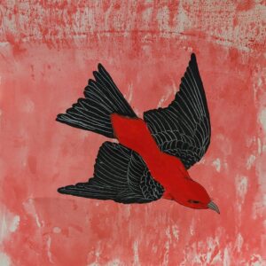 Scarlet Taniger