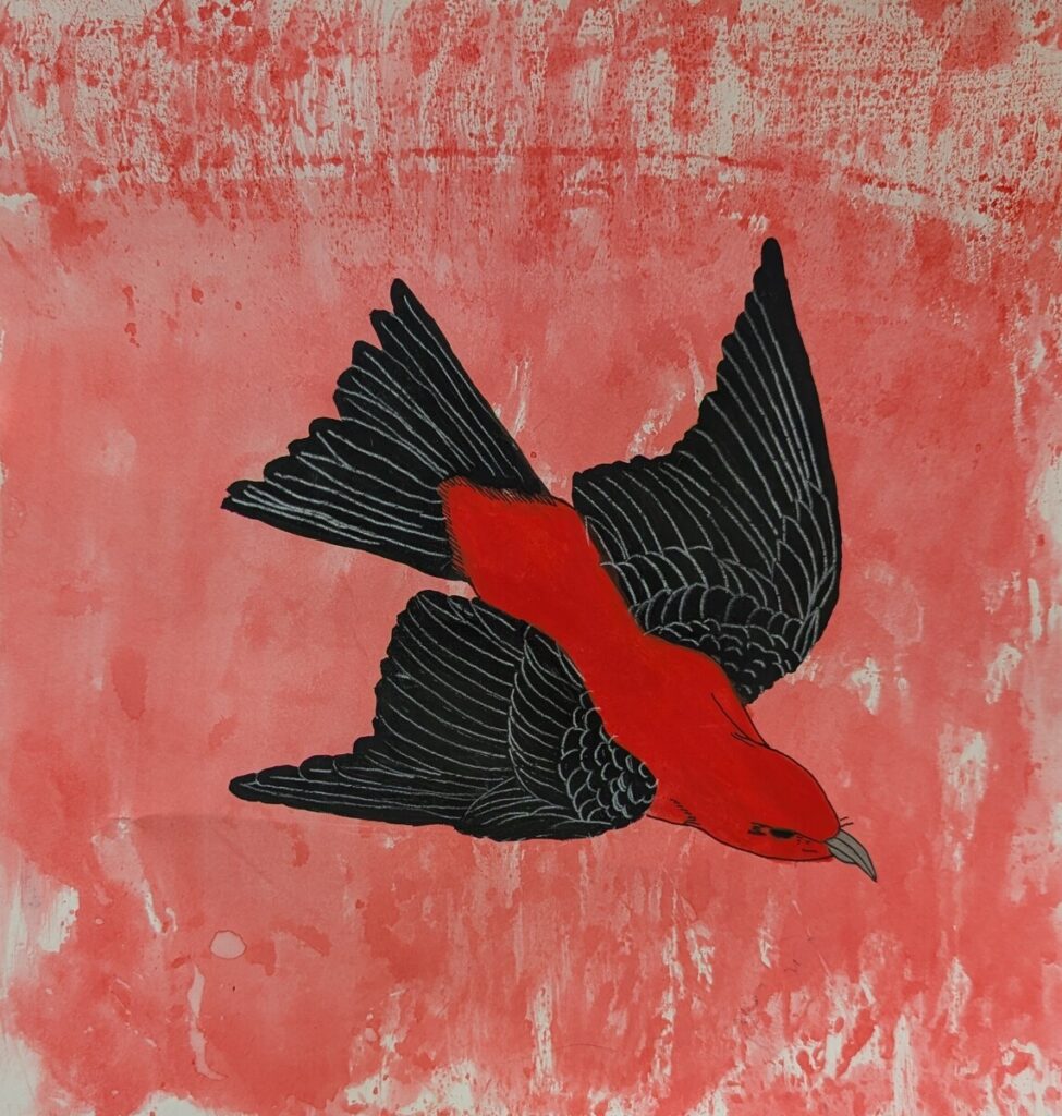 Scarlet Taniger