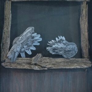Mourning Doves Preening in Barn Loft Window