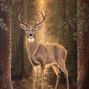 Light in the Wilderness