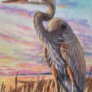Great Blue Heron