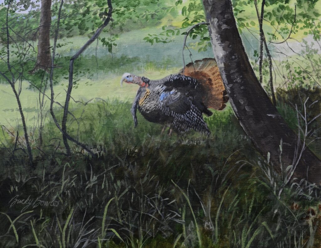 Edge of the Woods Gobbler