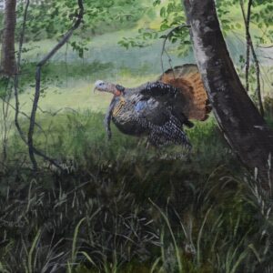 Edge of the Woods Gobbler