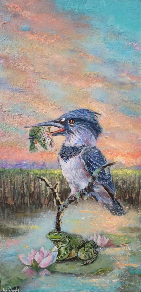Belted Kingfisher