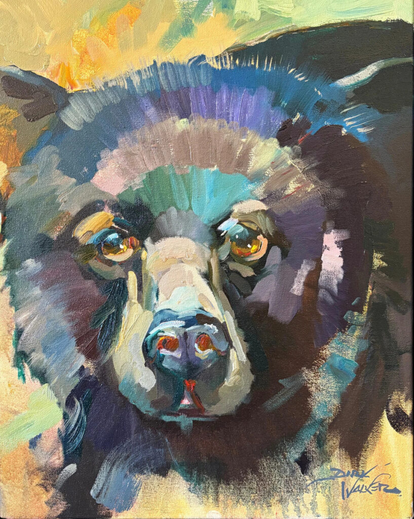 American Black Bear