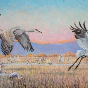 Two Sandhill Cranes and Whooping Crane