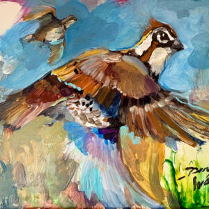 Bobwhite Quail